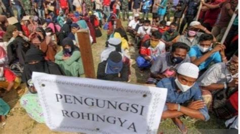 Ditolak Warga Pekanbaru Pengungsi Rohingya Terlantar
