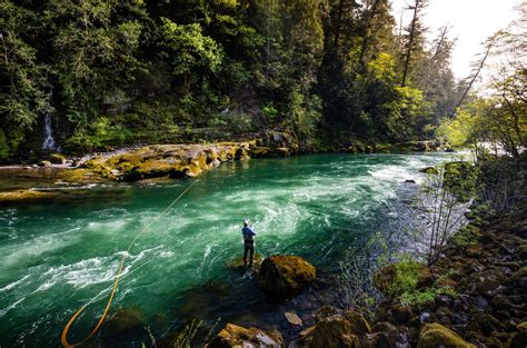 Western Rivers Conservancy Saving The Great Rivers Of The West