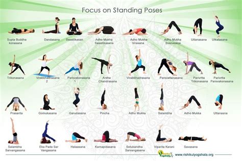 Yoga Teacher Training In Kerala Rishikul Yogshala India In 2022 Yoga Poses Names Basic Yoga