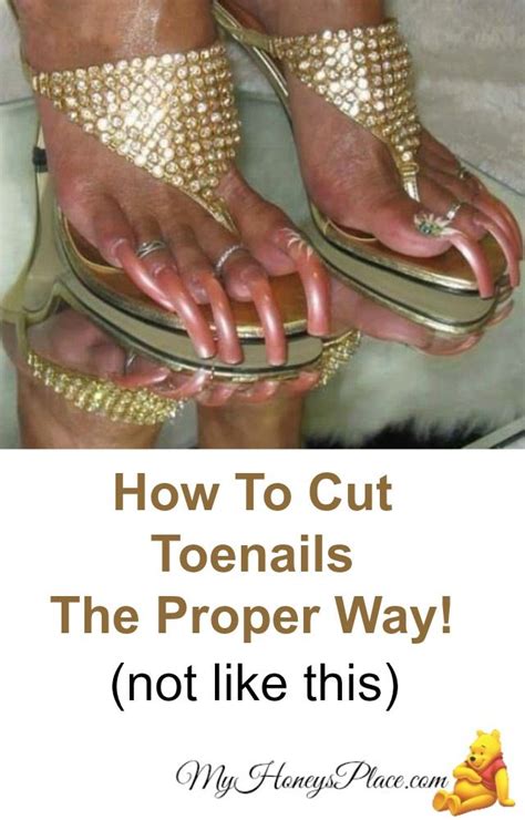How To Cut Toenails Properly And Care For Your Feet No Way Toe