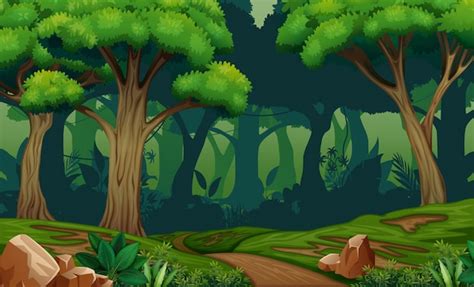 Premium Vector Deep Forest Scene With Trail In The Woods Illustration