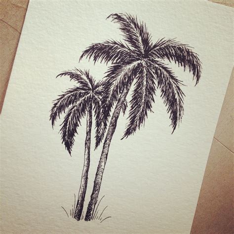 Chelsea Renee Palm Tree Drawing Tree Drawings Pencil Tree Drawing