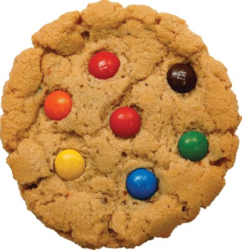 This is an instant download. Cookie PNG