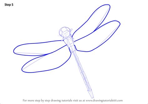 Step By Step How To Draw A Flying Dragonfly