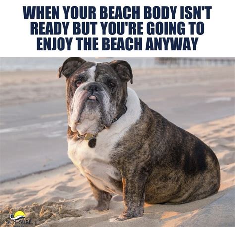 More Beach Memes Because Summer Is Right Around The Corner The