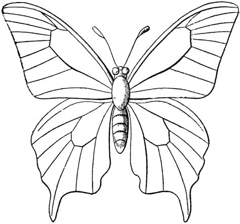 Nature has endowed them with fragile wings and beautiful colors with wonderful patterns. Coloring Now » Blog Archive » Butterfly Coloring Pages for ...