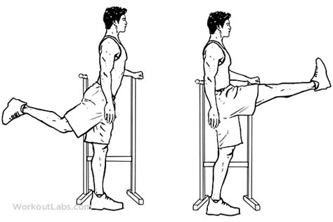 Forward Leg Hip Swings Illustrated Exercise Guide Workoutlabs