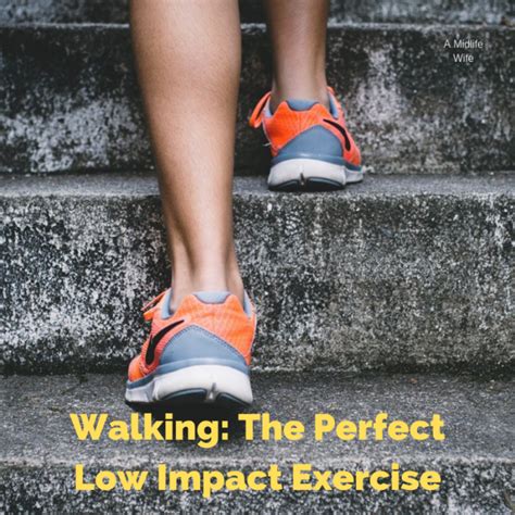 How Many Steps Do You Need To Walk Daily To Stay Healthy And Lose Weight