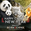 Go See Disneynature’s New Documentary, “Born In China” In Theaters Now ...