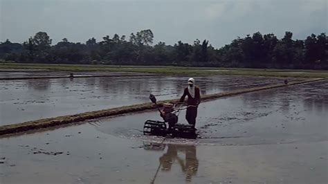 SMALL POWER TILLER While Harrowing In A Farmer S Rice Fields YouTube