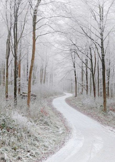20 Ideas Winter Landscape Photography Wonderland Paths Winter