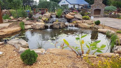 Koi fish $0 (ayden) pic hide this posting restore restore this posting. Serenity Deluxe pond package by Living Waterscapes near Greensboro, NC. | Fish ponds, Pond, Pond ...