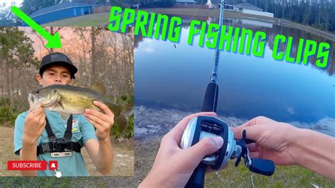 Spring Fishing Clips Youtube