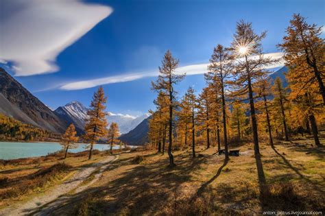 Golden Autumn In The Altai Mountains · Russia Travel Blog