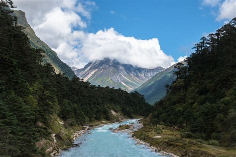 A nature sanctuary with the river, hot springs and rolling meadows, yumthang valley of flowers offers a vista that you won't forget anytime soon. Yumthang Valley, Sikkim, India | 1000 Lonely Places