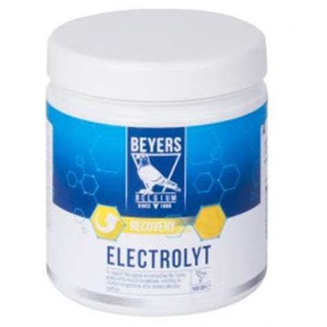 Beyers Electrolyt Plus 500 Gr Beyers Pitts Webshop