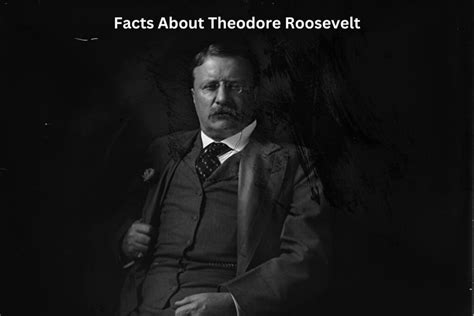 10 Facts About Theodore Roosevelt Have Fun With History