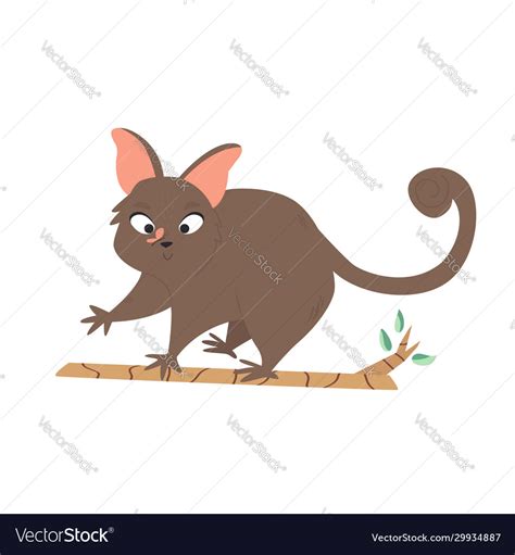 A Cute Australian Possum Animal Character Design Vector Image