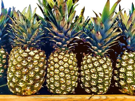 How Did the Pineapple Get Its Name? | CulinaryLore