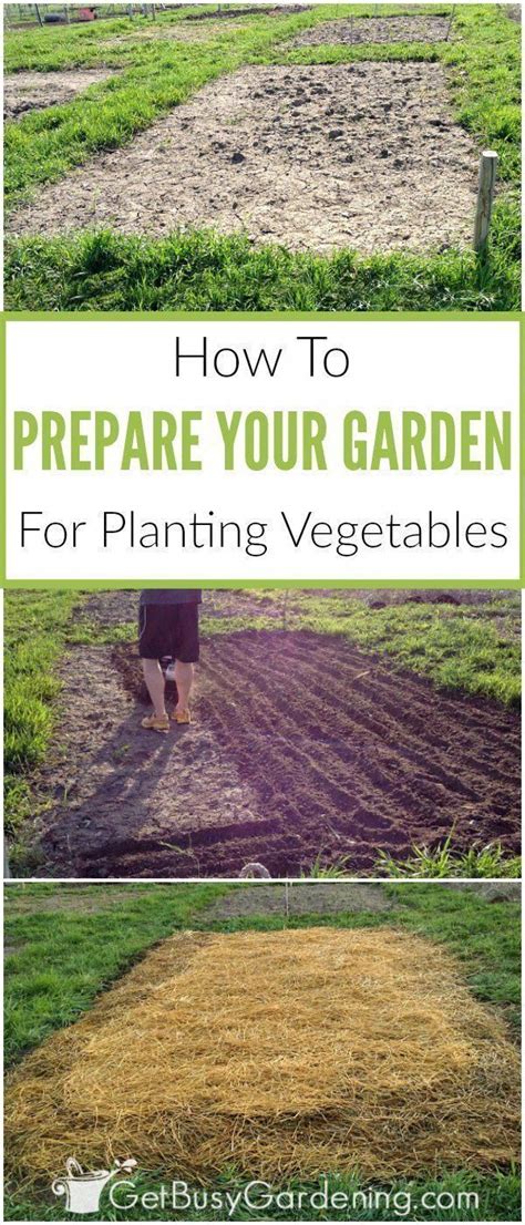 How To Prepare A Garden Bed For Planting Vegetables Planting