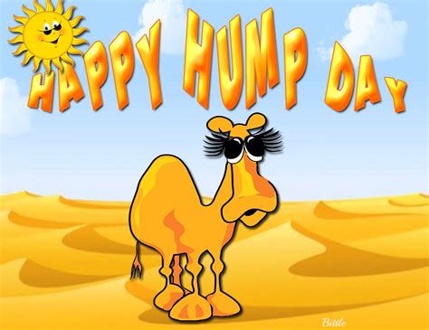 Happy Hump Day Quote With Camel Pictures Photos And Images For Facebook Tumblr Pinterest