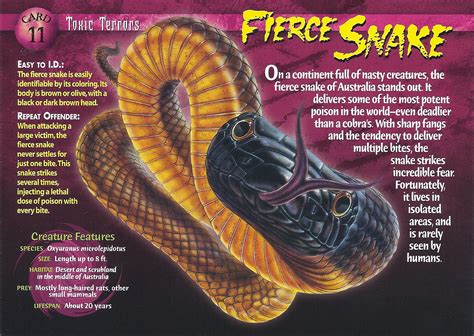 Fierce Snake Weird N Wild Creatures Wiki Fandom