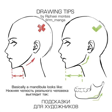 Face Drawing Reference At Explore Collection Of