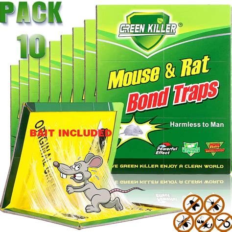 Buy Mouse Trapsrat Trapsmouse Traps Indoorrat Traps For Housemouse