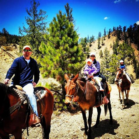 Guided Horseback Riding Tours In Red River One Hour Trip New Mexico