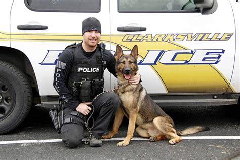 Clarksville Police Department Adds K9 Arlo To Crime Fighting Team Clarksville Online
