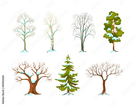 Cartoon Winter Tree Set Seasonal Tree With And Without Leaves And