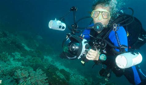 Professional Underwater Photographer Artist