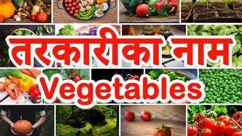 Names Of Vegetables In English And Nepali Youtube