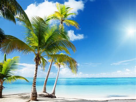 Tropical Beach Paradise Ultra Hd Desktop Background Wallpaper For 4k