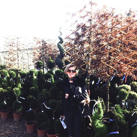 Tree Buying For Clients 3 Jo Alderson Phillips