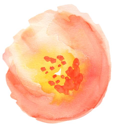 Watercolor Orange Clipart 10 Free Cliparts Download Images On