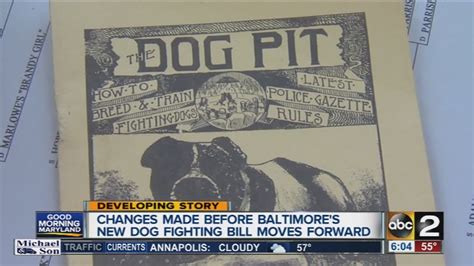 Dog Fighting Equipment Expected To Become Illegal In Baltimore Youtube