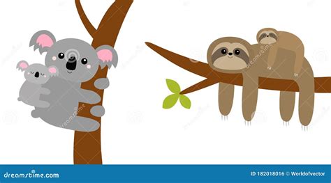 Koala Bear Sloth Hanging On Tree Branch Leaf Cute Cartoon Kawaii