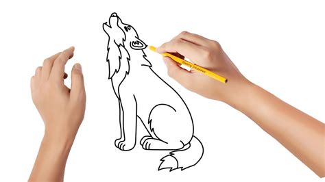 Introduzir Imagem Desenhos Para Desenhar De Lobo Br Thptnganamst Edu Vn