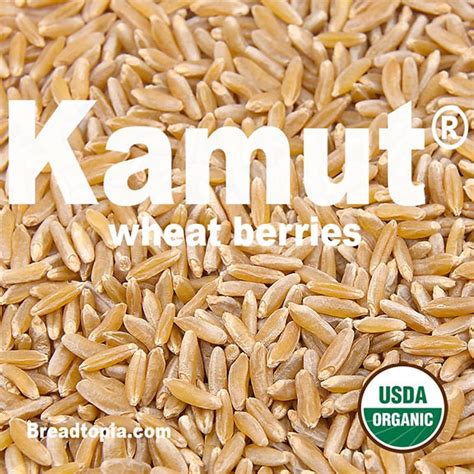 It is registered trademark of the kamut international ltd. El mundo de Laia♫ ♫: Kamut: El trigo que está de moda