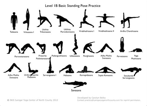 Carolyn Belko Level 1b Standing Pose Practice Iyengar Yoga Iyengar