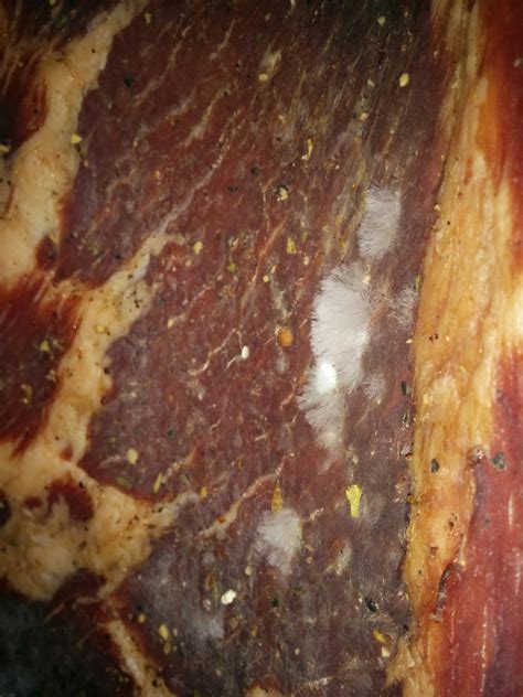 Mold On Air Dried Cured Meat 385908 Ask Extension