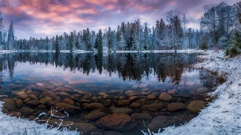 Clear Calm Body Of Water Surrounded By Snow Covered Forest Under Black