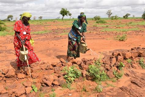 Women On The Move Transforming Dry Lands Into Crops In Niger Care Canada