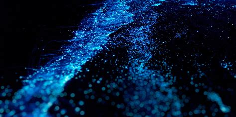 Let These Bioluminescent Sea Organisms Soothe You Into The Weekend