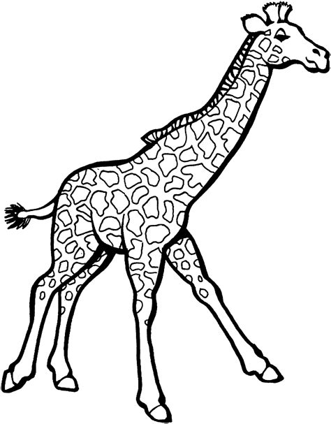 Big Giraffe Coloring Book To Print And Online