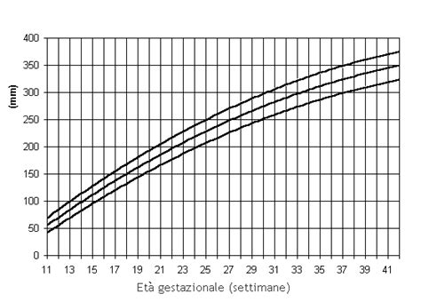 La calcolatrice stima la lunghezza e peso fetale sulla base della lunghezza in cm del femore, che puoi pttenere dalla ultima ecografia che hai effettuato. Lunghezza del Feto - Lunghezza Fetale