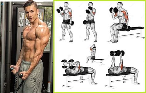 get bigger arms entrenamiento de cuerpo completo rutinas de entrenamiento rutina de brazos