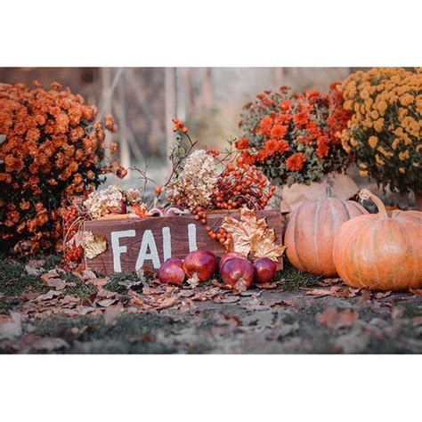 Vinyl Halloween Backdrops Printed Flowers Maple Leaves Autumn Scenery