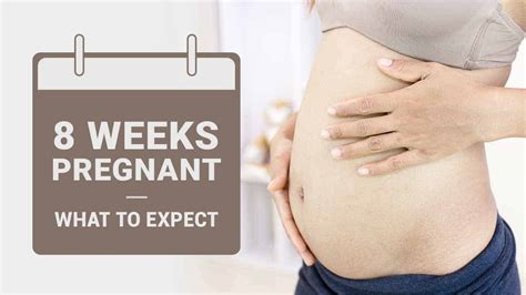 8 Weeks Pregnant Symptoms Baby Development And Tips